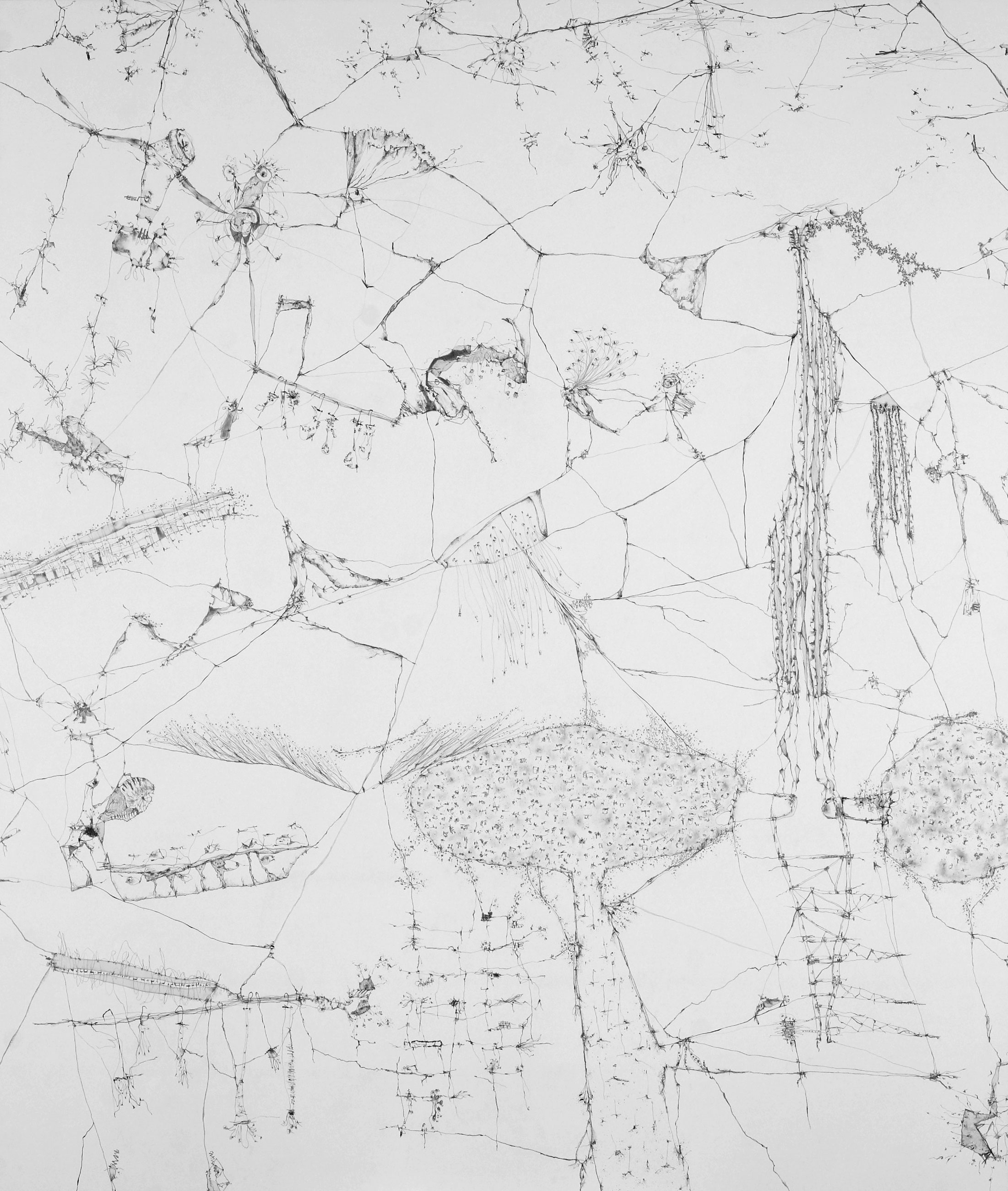 CARTOGRAFÍA VI